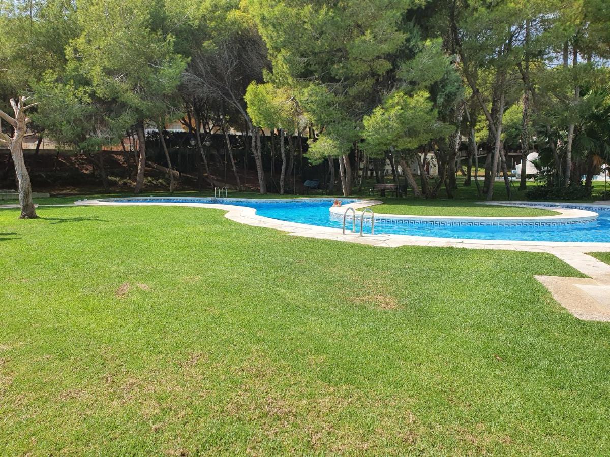 Apartment In Campoamor Overlooking The Swimming Pool Extérieur photo